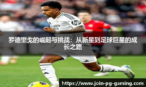 PG模拟器