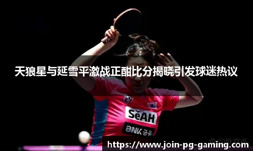 天狼星与延雪平激战正酣比分揭晓引发球迷热议